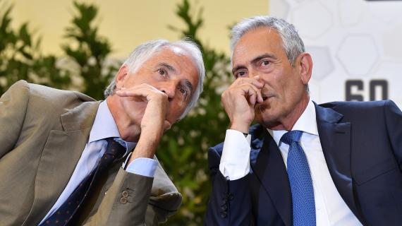 Immagine news 7